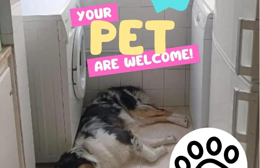 Private Rooms In Shared Apartment - Shared Bathroom And Dog Friendly-1